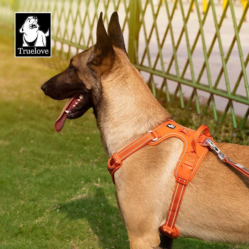 Harnais de soutien PawAssist - coloris disponibles
